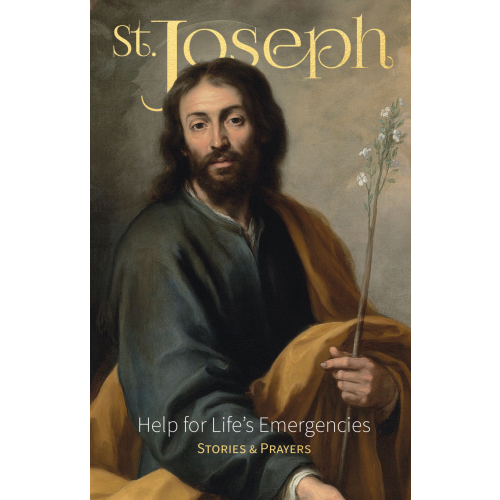 Saint Joseph Help For Life's Emergencies